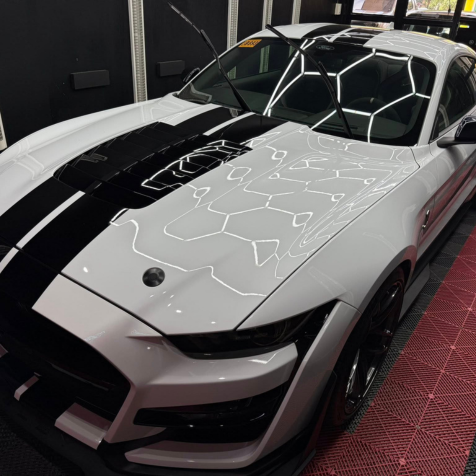 Exterior Detailing -4